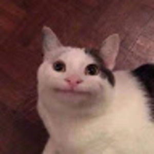 Meet your Posher, Iris